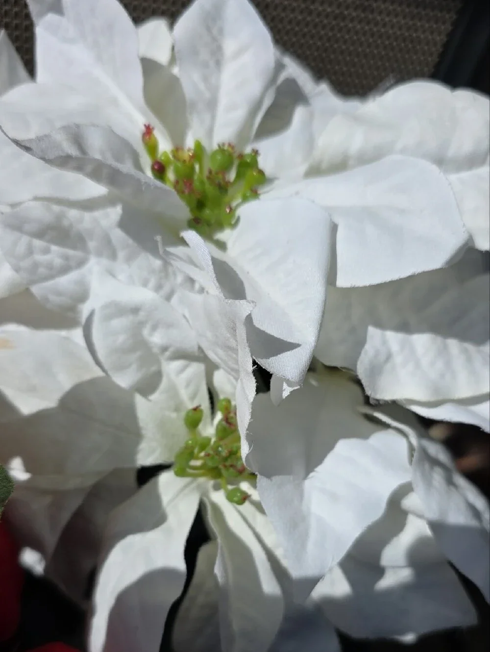 Source Unknown Red and White Poinsettia Faux Floral Arrangement